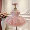 Blush Pink 3D Butterfly Short Tutu Dress | Baby Girl Princess Party Gown